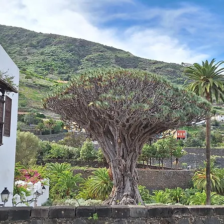 Monis Atlantic Terrace Lägenhet