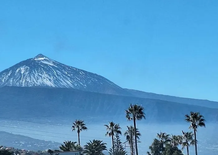 Monis Atlantic Terrace דירה *