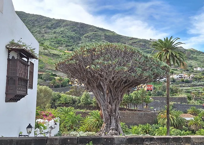 Monis Atlantic Terrace Apartamento